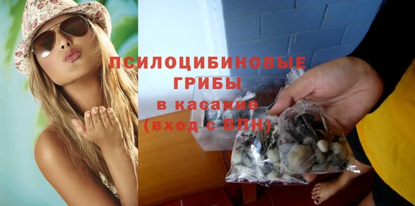 молекула духа Волосово