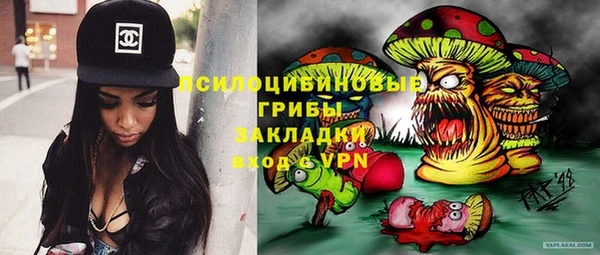 молекула духа Волосово