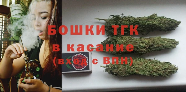 молекула духа Волосово